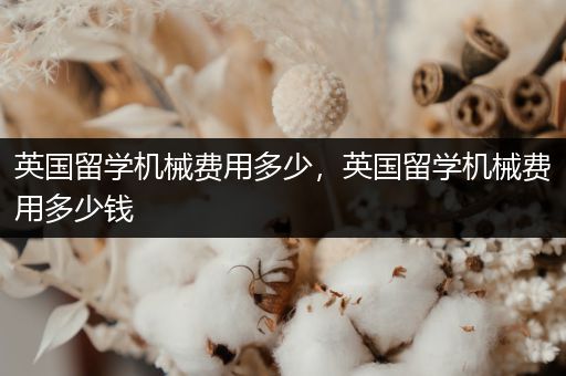 英国留学机械费用多少，英国留学机械费用多少钱