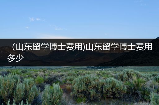 （山东留学博士费用)山东留学博士费用多少