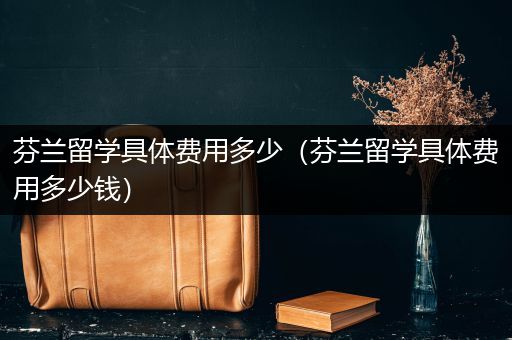 芬兰留学具体费用多少（芬兰留学具体费用多少钱）