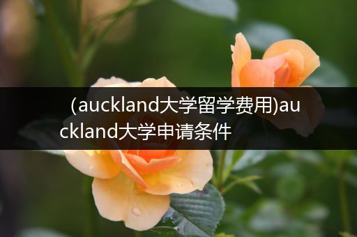 （auckland大学留学费用)auckland大学申请条件