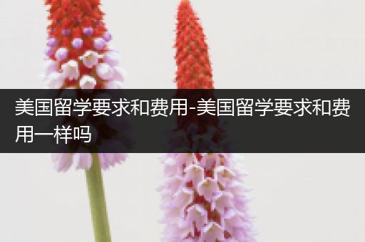 美国留学要求和费用-美国留学要求和费用一样吗