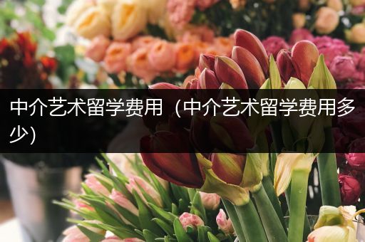 中介艺术留学费用（中介艺术留学费用多少）