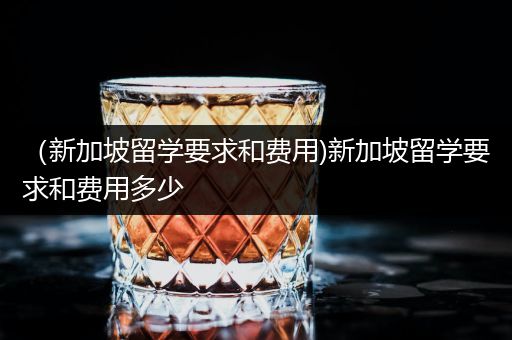 （新加坡留学要求和费用)新加坡留学要求和费用多少
