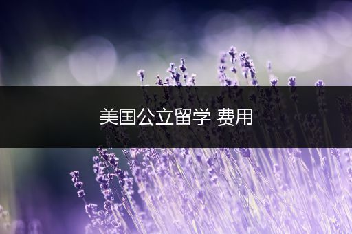 美国公立留学 费用