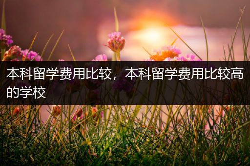 本科留学费用比较，本科留学费用比较高的学校