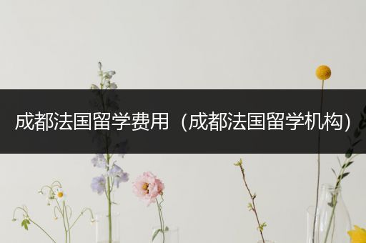 成都法国留学费用（成都法国留学机构）