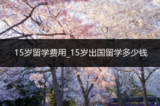 15岁留学费用_15岁出国留学多少钱