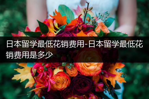 日本留学最低花销费用-日本留学最低花销费用是多少
