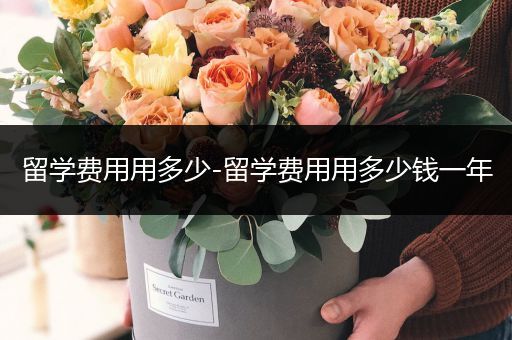 留学费用用多少-留学费用用多少钱一年