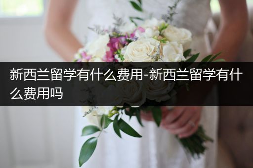 新西兰留学有什么费用-新西兰留学有什么费用吗
