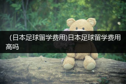 （日本足球留学费用)日本足球留学费用高吗