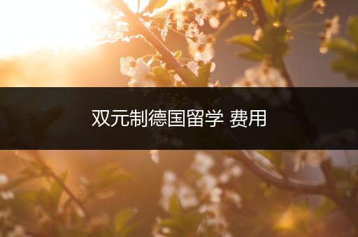 双元制德国留学 费用
