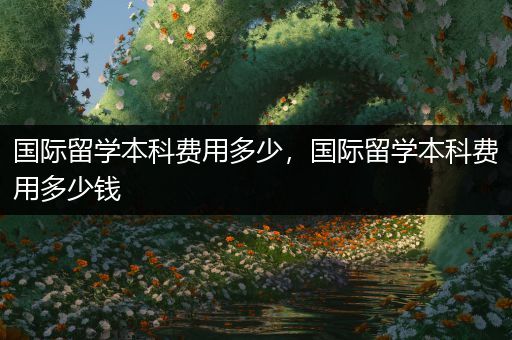 国际留学本科费用多少，国际留学本科费用多少钱
