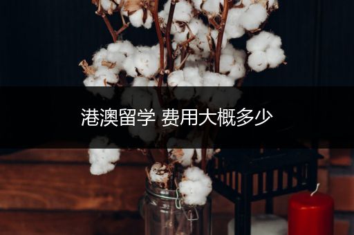 港澳留学 费用大概多少