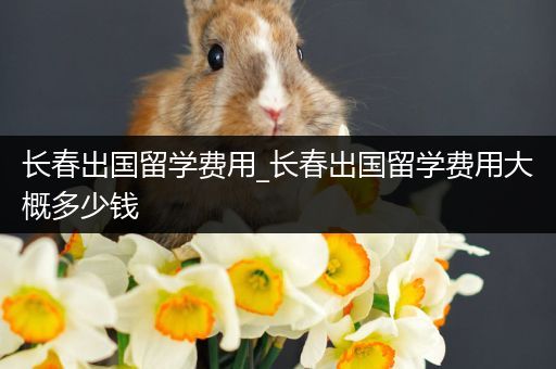长春出国留学费用_长春出国留学费用大概多少钱