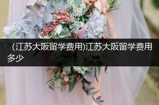 （江苏大阪留学费用)江苏大阪留学费用多少