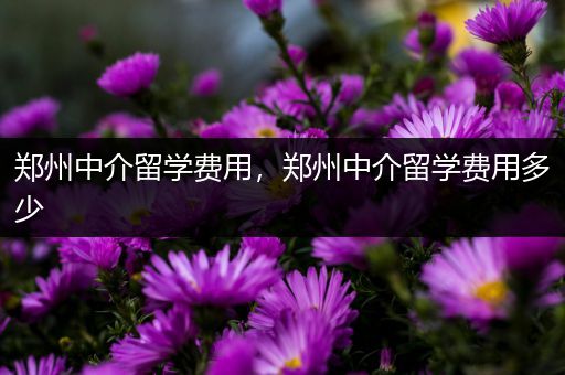 郑州中介留学费用，郑州中介留学费用多少