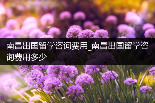 南昌出国留学咨询费用_南昌出国留学咨询费用多少