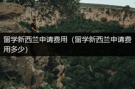 留学新西兰申请费用（留学新西兰申请费用多少）