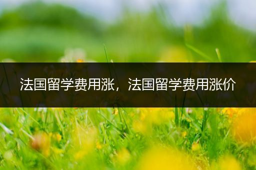 法国留学费用涨，法国留学费用涨价