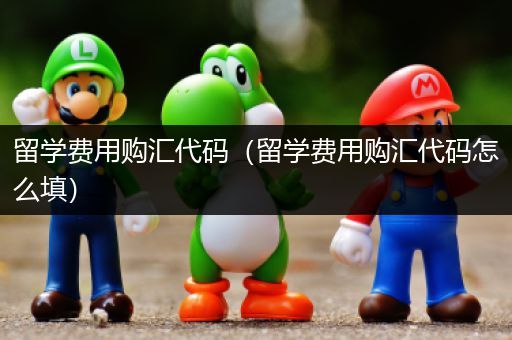 留学费用购汇代码（留学费用购汇代码怎么填）
