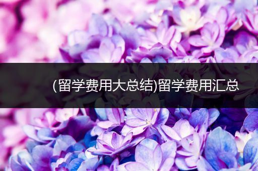 （留学费用大总结)留学费用汇总