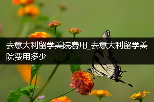 去意大利留学美院费用_去意大利留学美院费用多少