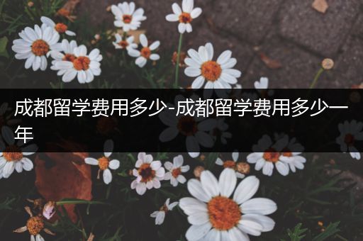 成都留学费用多少-成都留学费用多少一年