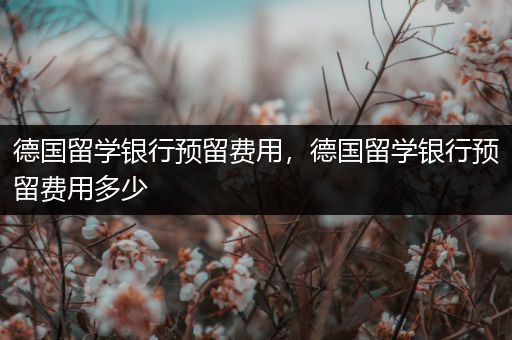 德国留学银行预留费用，德国留学银行预留费用多少