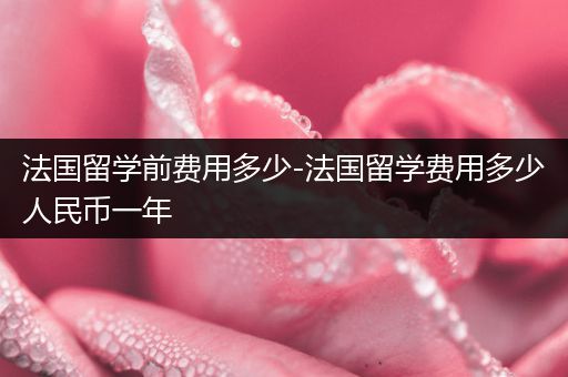法国留学前费用多少-法国留学费用多少人民币一年