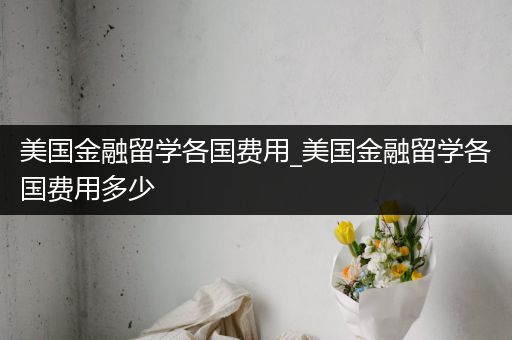 美国金融留学各国费用_美国金融留学各国费用多少