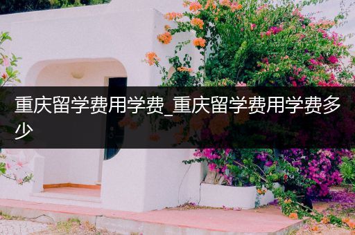 重庆留学费用学费_重庆留学费用学费多少