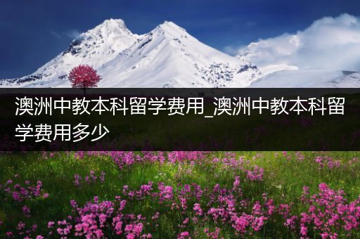 澳洲中教本科留学费用_澳洲中教本科留学费用多少