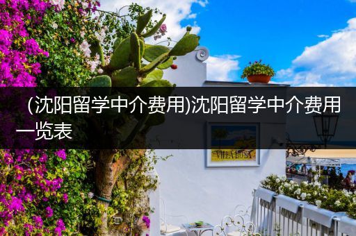 （沈阳留学中介费用)沈阳留学中介费用一览表