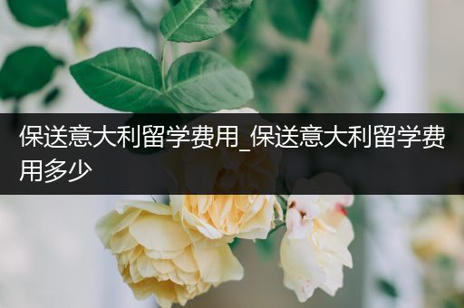 保送意大利留学费用_保送意大利留学费用多少