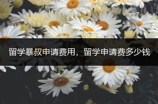 留学暴叔申请费用，留学申请费多少钱