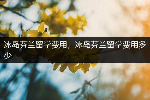 冰岛芬兰留学费用，冰岛芬兰留学费用多少