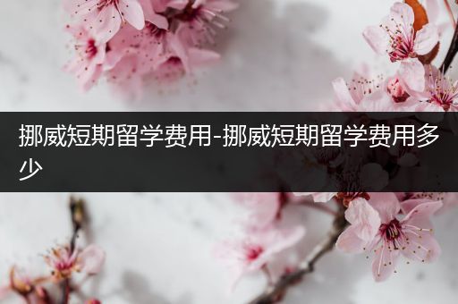 挪威短期留学费用-挪威短期留学费用多少