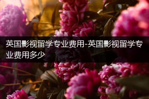 英国影视留学专业费用-英国影视留学专业费用多少