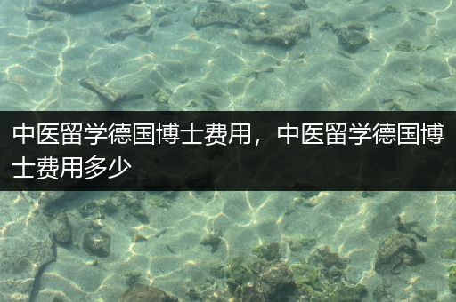中医留学德国博士费用，中医留学德国博士费用多少