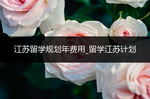 江苏留学规划年费用_留学江苏计划