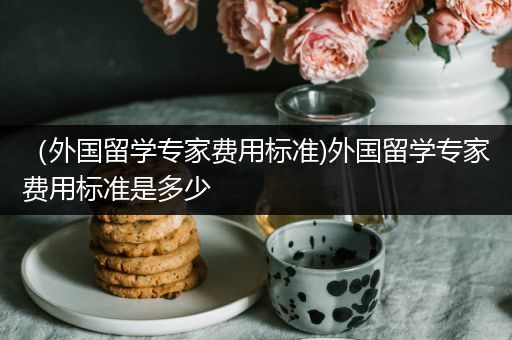 （外国留学专家费用标准)外国留学专家费用标准是多少