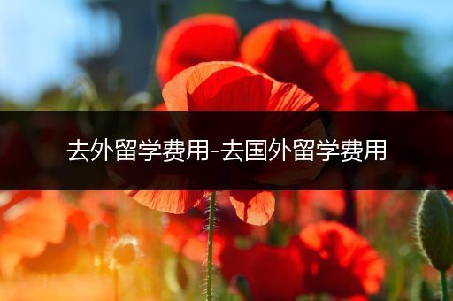 去外留学费用-去国外留学费用