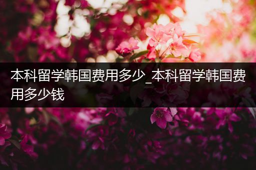 本科留学韩国费用多少_本科留学韩国费用多少钱