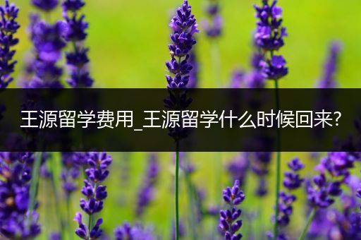 王源留学费用_王源留学什么时候回来?