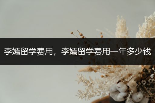 李嫣留学费用，李嫣留学费用一年多少钱