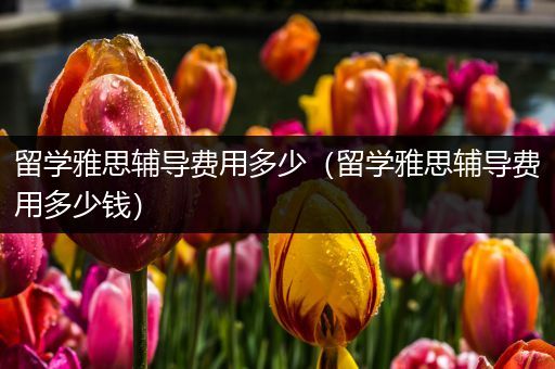 留学雅思辅导费用多少（留学雅思辅导费用多少钱）