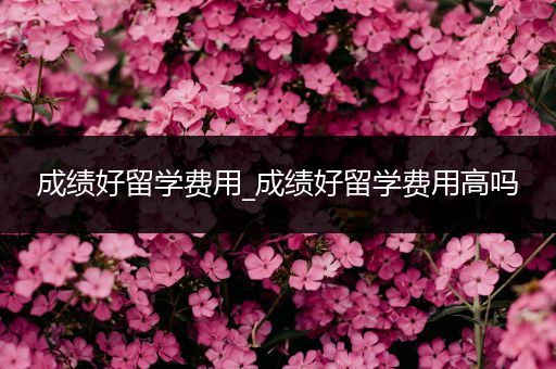 成绩好留学费用_成绩好留学费用高吗