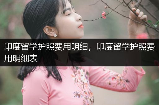 印度留学护照费用明细，印度留学护照费用明细表