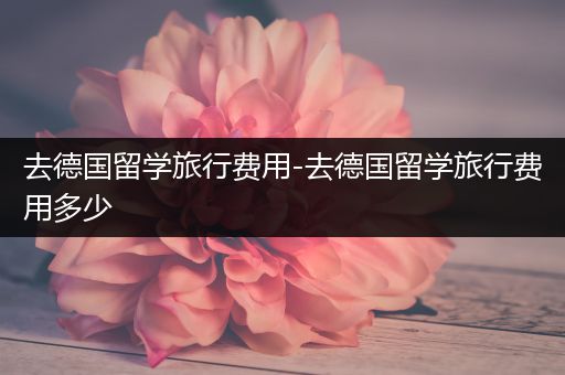 去德国留学旅行费用-去德国留学旅行费用多少